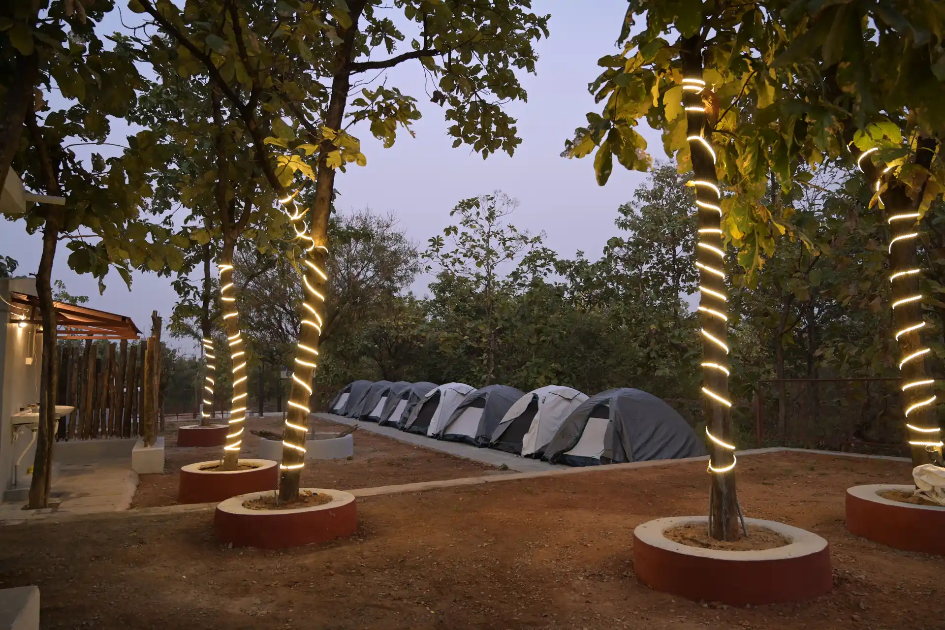 Tents lit up at a night camp